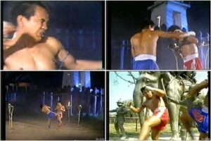 LEGEND OF MUAY THAI