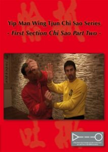  Chi Sao First Section Part 2