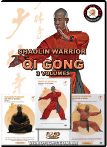 SHAOLIN WARRIOR QI GONG