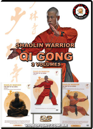 SHIFU YAN LEI - SHAOLIN WARRIOR - THE WAY OF QI GONG 3 VOLs