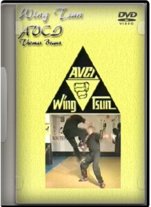 THIS IS REAL WING TSUN - SIFU TOMAS BRAUN - APPLICATIONS