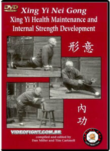 Xing Yi Nei Gong Xing Yi Health Maintenance and Internal Strength Development