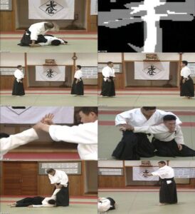 DAITO RYU AIKIJUJUTSU HIDEN MOKUROKU