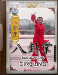 BAGUAZHANG BOXING (CHENG STYLE) (3)