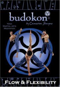 Budokon Flow and Flexibility Yoga