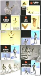 Encyclopedia of Shin Kyokushin (2)