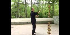 GU LAO WING CHUN - 22 PONTOS (1)