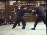 Instrutores israelenses de Ninjutsu no Japão (1)