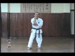 JUNDOKAN GOJU RYU KARATE (1)