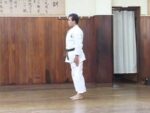 JUNDOKAN GOJU RYU KARATE (2)