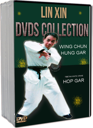 LIN XIN  - WING CHUN & HUNG GAR DVDS COLLECTION