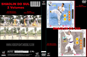 SOUTHERN SHAOLIN SERIES LUO HAN (2)