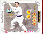 SOUTHERN SHAOLIN SERIES LUO HAN (3)