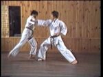 Shotokan Karate By Serge Chouraqui [VHS] (3)