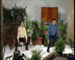 TAI CHI EXERCISES FOR THE WORKPLACE (2)