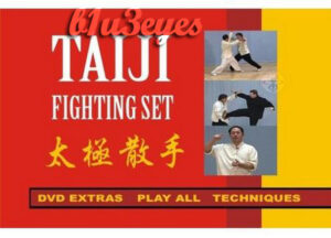 TAIJI FIGHTING SET (2)