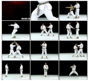 THE ART OF SHOTOKAN BEST KARATE OF MASAO KAGAWA (3)