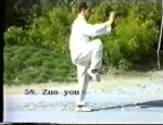 YANG TAI CHI CHUAN FORMAS 24,48,84 (1)