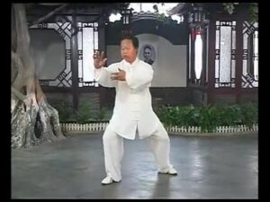 Yang Shi Taijiquan. Formulários 38 (1)