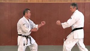 eHQxdWFrMTI=_o_okinawa-karat-goju-ryu-3---oshiro-sensei