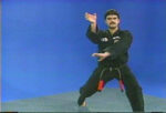 American Kenpo Karate 40 DVD Set by Mohamad Tabatabai (4)