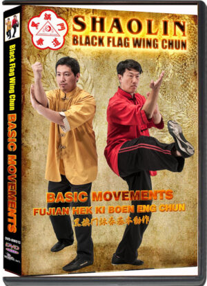 BENNY MENG & KENNETH XIANG FUK LIN- SHAOLIN BLACK FLAG WING CHUN - BASIC  MOVEMENTS