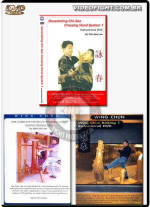 SIFU GARY LAM: INSTRUCIONAIS 1