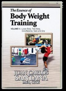 Into Combat The Essence of Body Weight Training (3)