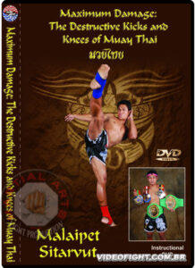 Maximum Damage The Destructive Kicks & Knees of Muay Thai By Malaipet (2)