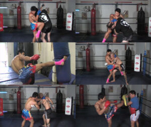 Muay Thai Clinch DVD with Malaipet