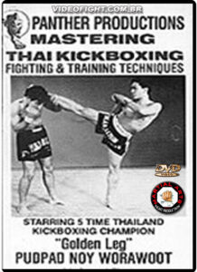 Muay Thai - Fighting and Training Techniques