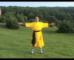 shaolin shi yan wang (7)