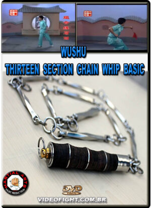 WUSHU THIRTEEN SECTIONS CHAIN WHIP BASIC MOVES