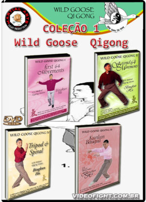 COLEÇÃO 1 - WILD GOOSE QIGONG