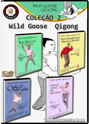 COLEÇÃO 2 - WILD GOOSE QIGONG