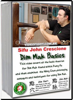 WING CHUN - DIM MAK BASIC