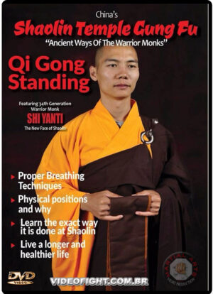 SHIFU YAN TI - SHAOLIN TEMPLE GUNG FU - QI GONG STANDING