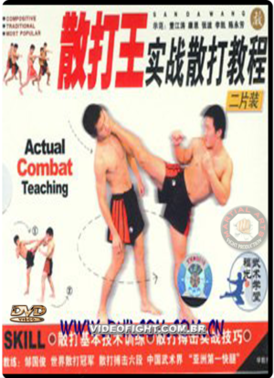 SANDA ACTUAL COMBAT TEACHING