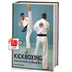 KICKBOXING FROM BEGINNER TO BLACK BELT EM PDF