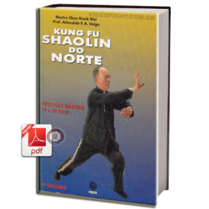 Shaolin kung fu training books pdf