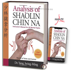 ANALYSIS OF SHAOLIN CHIN NA EM PDF