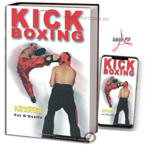 KICK BOXING: A FRAMEWORK FOR SUCCESS EM PDF