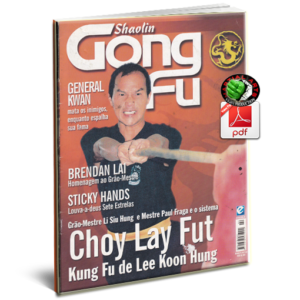 REVISTA SHAOLIN GONG FU Nº2 EM PDF