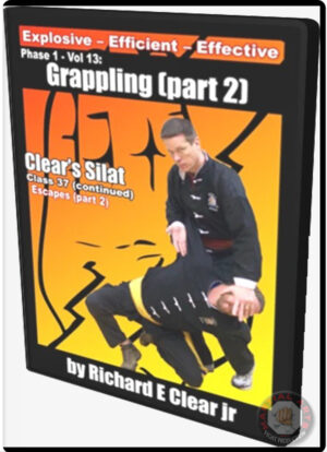 RICHARD E. CLEAR - SILAT PHASE 1 VOL.13