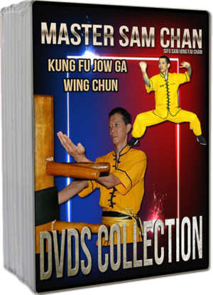 MASTER SAM CHAN - DVDS COLLECTION