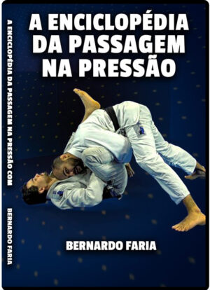 BERNARDO FARIA: A ENCICLOPÉDIA DA PASSAGEM NA PRESSÃO