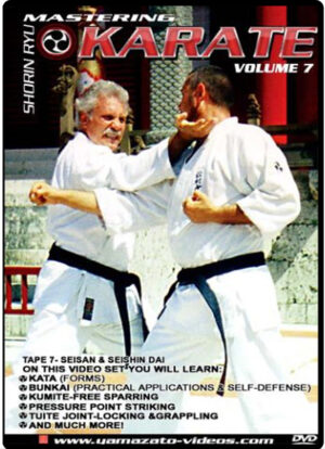 GEORGE ALEXANDER - MASTERING SHORIN RYU KARATE #07