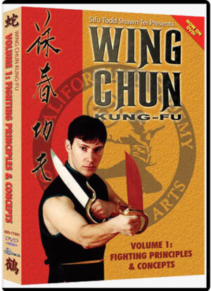 TODD SHAWN TEI - WING CHUN KUNG FU #01