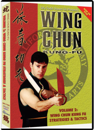 TODD SHAWN TEI - WING CHUN KUNG FU #02