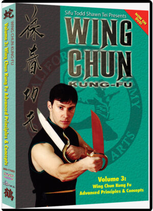 TODD SHAWN TEI - WING CHUN KUNG FU #03